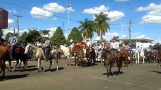 Desfile Expo Pontalina 2015 [upl. by Ylimme]