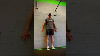 Knee Pain Exercises  Tibialis Raise  TREBEL  Blacksburg [upl. by Henrique894]