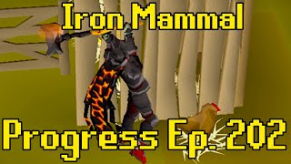 The New Best Weapon in OSRS  Iron Mammal Progress 202 [upl. by Atteinotna]