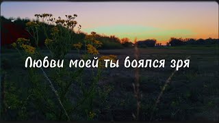 • Артон Любви моей ты боялся зря — Арсений Попов [upl. by Saidee]