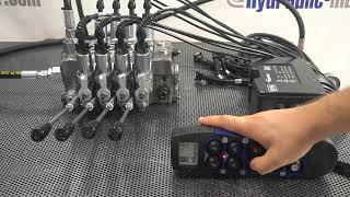 Hydraulic Valve DPX100 4 Sections with Scanreco Handy Radio Remote Proportional contol [upl. by Nataniel]