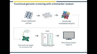 CRISPR Screening  The What Why and How [upl. by Cybil478]