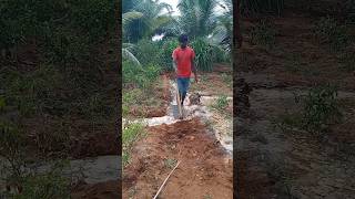 💰 விவசாயி கடன் இல்லாமல் வாழ்ந்தாலே போதும் agriculture villagelife jilla remix vivasayam shorts [upl. by Furtek]