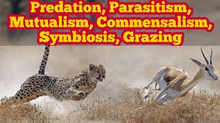 Predation Parasitism Symbiosis Mutualism Commensalism and Grazing  Biology 12th  Chap 25 [upl. by Eiralih943]