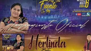 Herlinda Baten Álbum Completo [upl. by Tallia]