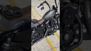 Harley Davidson Iron 883 Walk Around [upl. by Erdnoed109]