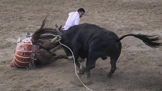 EN LA GUADALUPANA CABALLO Y CHARRO CORNEADOS VAYA JARIPEO [upl. by Chemaram451]