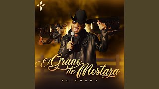 El Grano de Mostaza [upl. by Sephira]