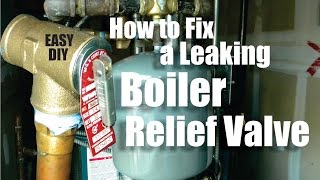 How to Repair a Leaking Boiler Relief Valve Easy DIY [upl. by Pollerd]