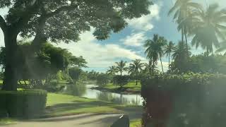 Denarau Island drive towards Sofitel  side view Nadi Fiji [upl. by Celina]