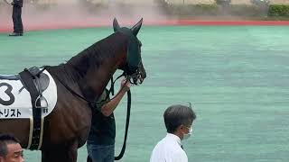 岩田望来＆セットリスト号 3歳以上1勝クラス2024年9月16日を振り返る [upl. by Lemhar504]