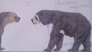 Short faced bearsarctotheriumarctodus [upl. by Bondy]