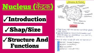 Nucleus केंद्रक Structure And Functions Of Nucleus In Hindi botanyadda [upl. by Anastasie]