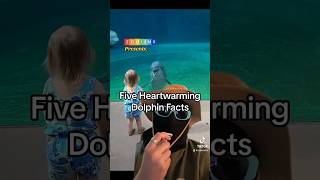 Not all dolphins are evil PART 12 zooisms dolphinfacts dolphins animals animalfacts learn [upl. by Dorella309]