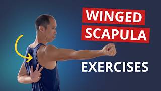 4 Exercises to Fix Winged Scapula amp Build STABLE Shoulder Blades [upl. by Ellirpa264]