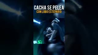 CHACHA SE PELEA CON LOBO ESTEPARIO rap freestyle loboestepario cacha [upl. by Accalia]