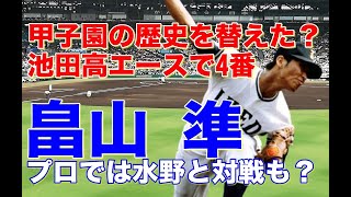 【畠山準 池田高】蔦文也監督が５回連続で甲子園に行けると語ったほどの逸材！甲子園で活躍優勝し南海ドラフト1位で入団。6年目に打者転向も結果が残せず横浜大洋移籍しホームランも魅力な打者として開花！ [upl. by Vadim4]