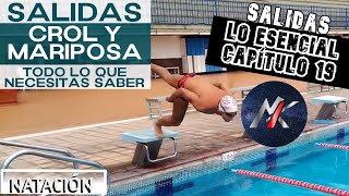 🏊 SALIDAS en CROL y MARIPOSA BATIDO de DELFÍN 🦎🦋 Capítulo 19 SALIDAS 🐬 Lo Esencial [upl. by Slayton]