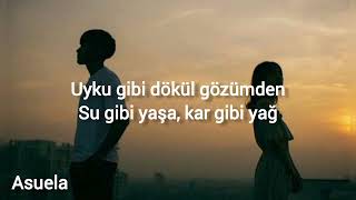 Yaprak Gibi  Bunca Yıl  Zehra Lyrics Sözleri [upl. by Malik643]