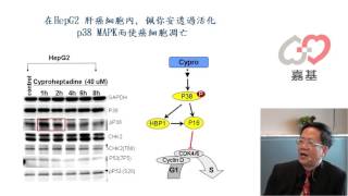 肝癌怎麼辦推薦您佩你安Cyproheptadine [upl. by Eniamrej]