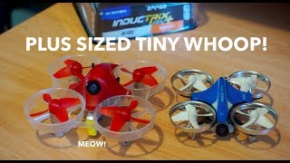 NEW Inductrix FPV Plus Unboxing and Flight Outdoors  Netcruzer RC [upl. by Pardew691]