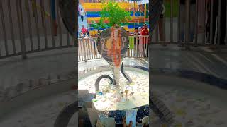 🔴Live Baba Sodal Mela  Sodal Mela JalandharPunjab  17 Sep 2024  Sodal Mela  deepdibuggu [upl. by Wasson747]