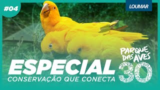 EP 4  O PARQUE DAS AVES COMO VOCÊ NUNCA VIU  ESPECIAL 30 ANOS DE PARQUE DAS AVES [upl. by Aeiram]