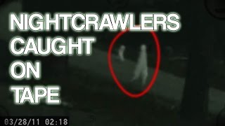 Nightcrawler Creatures Caught on Tape [upl. by Ahsiei]