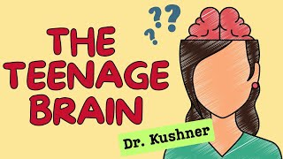 The Teenage Brain  Synaptic Pruning Myelination [upl. by Keelin]