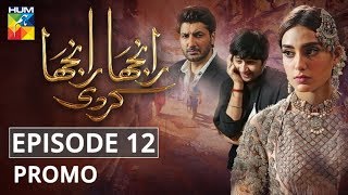 Ranjha Ranjha Kardi Episode 12 Promo HUM TV Drama [upl. by Wystand]