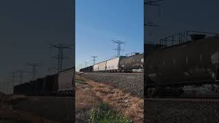 CN Morning Freight Train on the ExEJampE Leithton Subdivision [upl. by Nirok794]