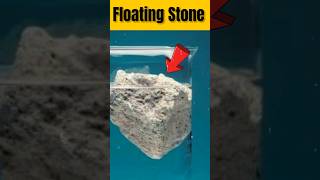 Floating Stone 🗿 Which can Easily Floating in Water💧 Pumice Stone  Floating Stone  Facts [upl. by Leighton]