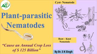 Plant parasitic Nematodes [upl. by Ellednek]