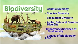 biodiversity its types alpha beta gamma diversity importance amp loss of biodiversity [upl. by Lemak]