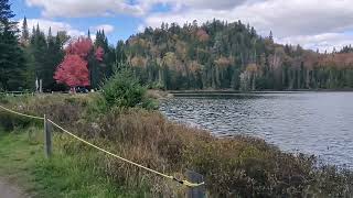 Lauzon Lake Picnic  Parc National DU Mont Tremblant [upl. by Saloma]