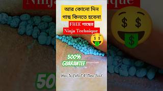 আর কোনোদিনও গাছ কিনতে হবেনা seedscollectseedsvegetablegardenfreegrowbaggardeninggardenupdiy [upl. by Glynda110]