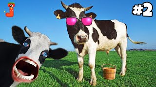 FUNNY COW DANCE FOR GANGAM STYLE 2  Cow Song amp Cow Videos 2024  Funny Cow dance  gaiya  gai [upl. by Dyol650]