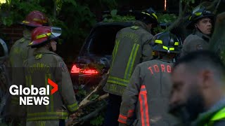 Toronto car theft crash Suspect victim smash into homes [upl. by Howund]