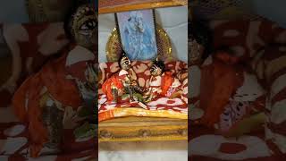 Subho Ratri viralvideo viralshort video explore song sorts [upl. by Sholom]