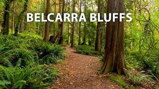 Slow Meditative Autumn Hike to Belcarra Bluffs via Admiralty Point Trail BC Canada [upl. by Ardnic]