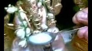 Lord Vinayagar drinking milk [upl. by Jenelle]