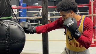 Everlast MX Heavy Bag Work [upl. by Hallie]