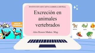 La excreción en animales vertebrados [upl. by Jacobo]