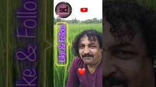 ondanondu oorali vijayprakash ytstudio kannadasong subodhdevaraj 🔥🌹💥 [upl. by Eidok658]