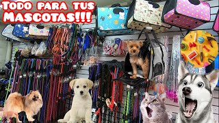 Te enseño la bodega de artículos para mascota más baratos del centro peines correas ropa juguetes [upl. by Aitital]