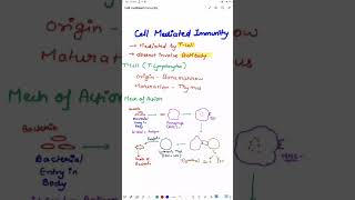 Cell mediated Immunity  Blood Physiology  MBBS 1ST YEAR [upl. by Yssor626]