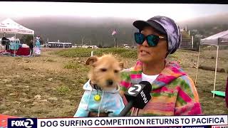 DOG SURFING COMPETITION⁉️🤔 ITS CALIFORNIA THING😳😳😆😆😆🏄‍♀️🌊🐶🏆 [upl. by Misty]