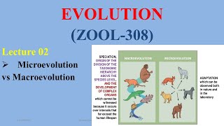 Microevolution amp Macroevolution [upl. by Clardy637]