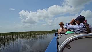 Everglades Airboat [upl. by Nelak]