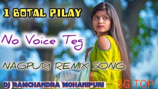 No Voice Teg Nagpuri Remix Song 2024  Ek Botal pilay ke nash New Nagpuri Remix Song download 2024 [upl. by Neomah587]